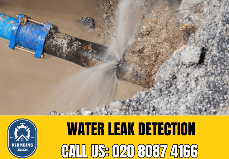 leak detection Clapton